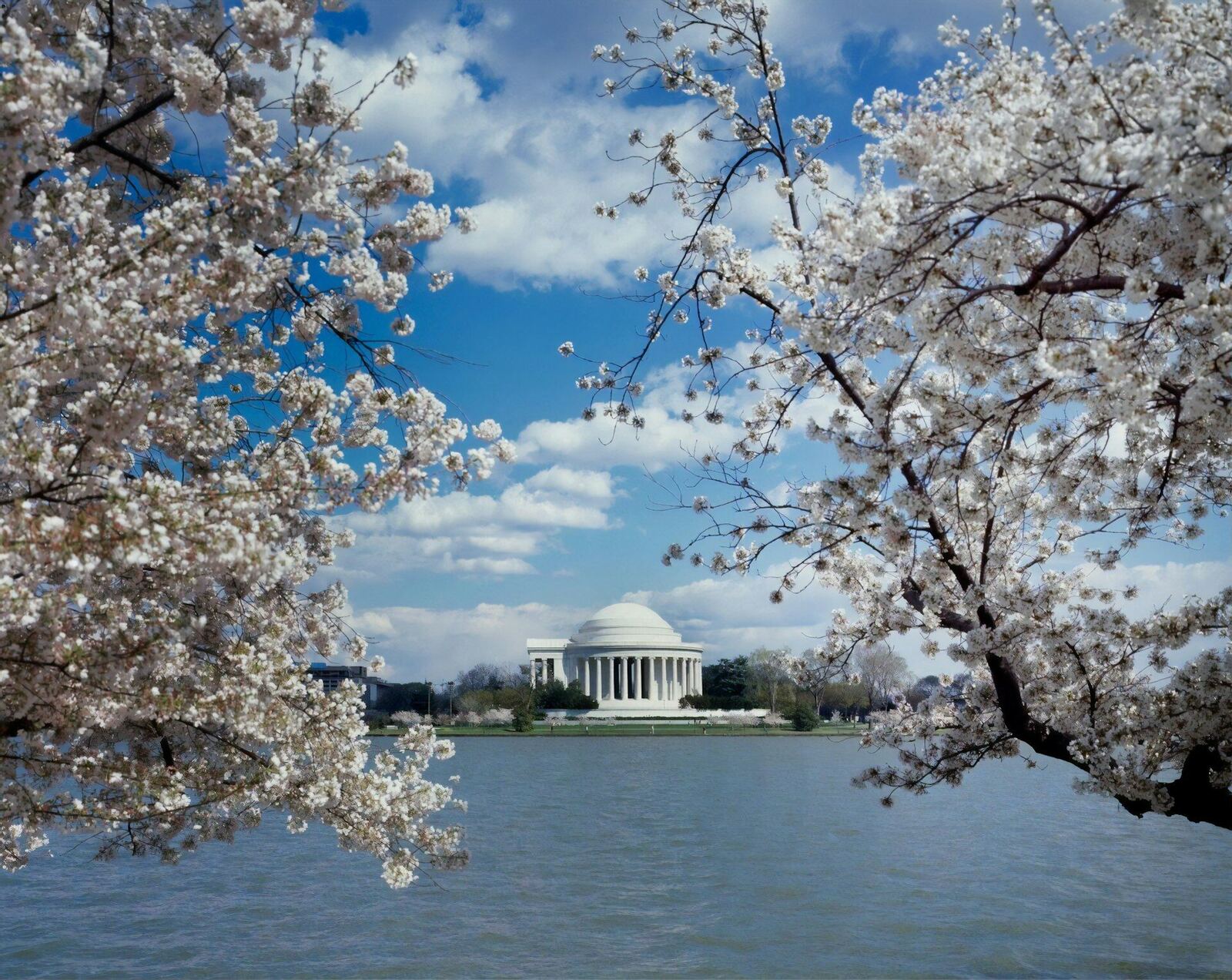 DC cityscape